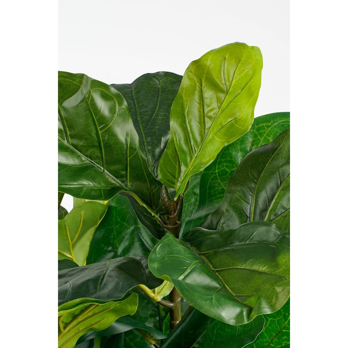 KantoormeubelenPlus Ficus Lyrata Kunstplant - H150 x Ø80 cm - Groen