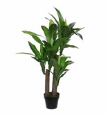 KantoormeubelenPlus Dracaena Kunstplant - H110 x Ø60 cm