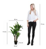 KantoormeubelenPlus Dracaena Kunstplant - H110 x Ø60 cm