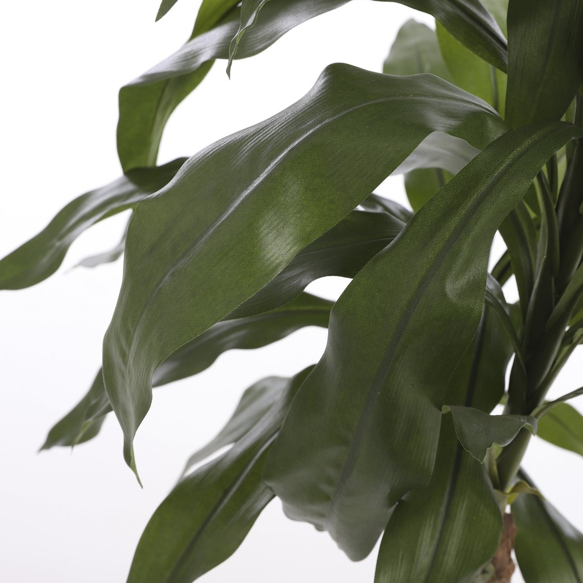 KantoormeubelenPlus Dracaena Kunstplant - H100 x Ø70 cm