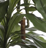 KantoormeubelenPlus Dracaena Kunstplant - H100 x Ø70 cm