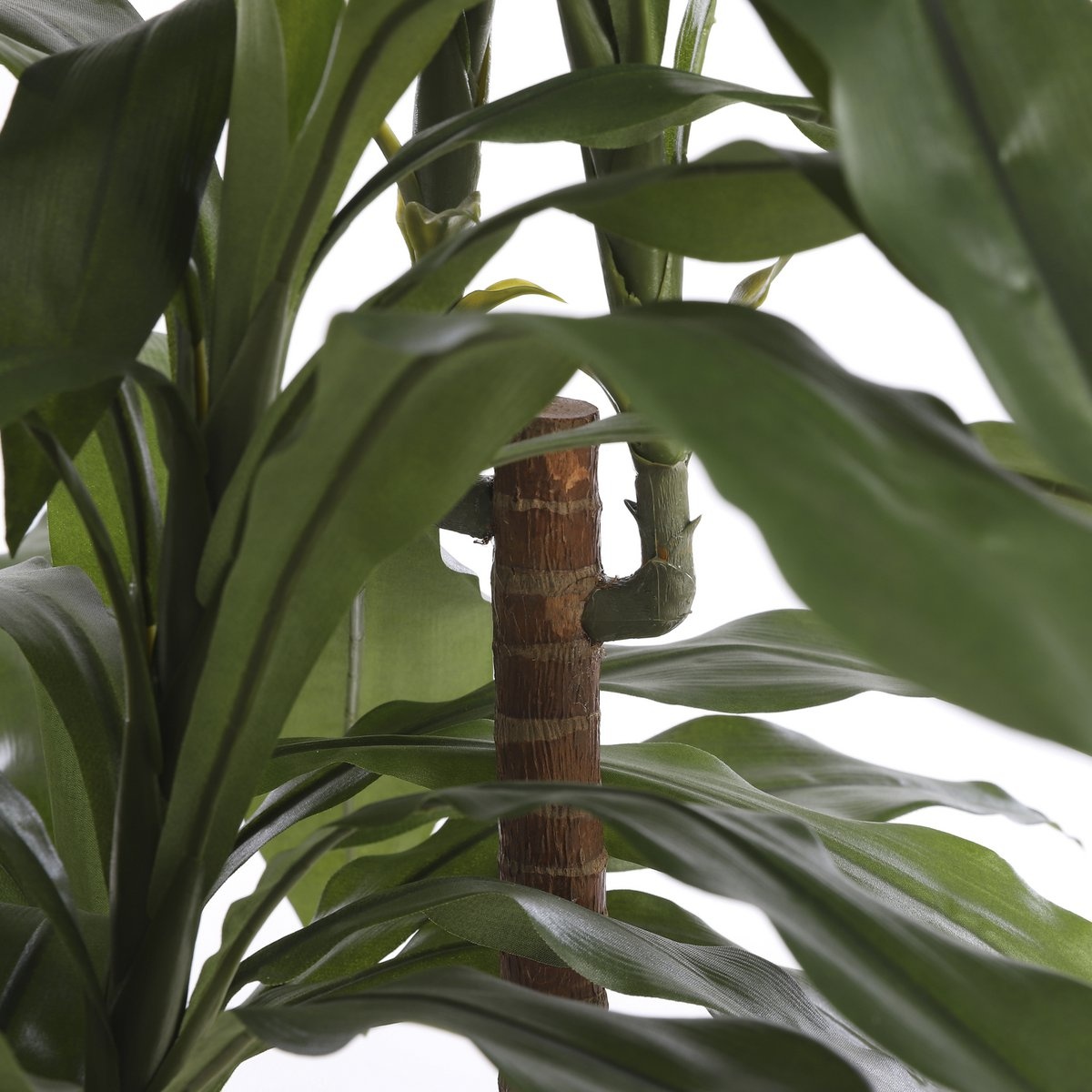 KantoormeubelenPlus Dracaena Kunstplant - H100 x Ø70 cm