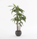 KantoormeubelenPlus Dracaena Kunstplant - H100 x Ø70 cm