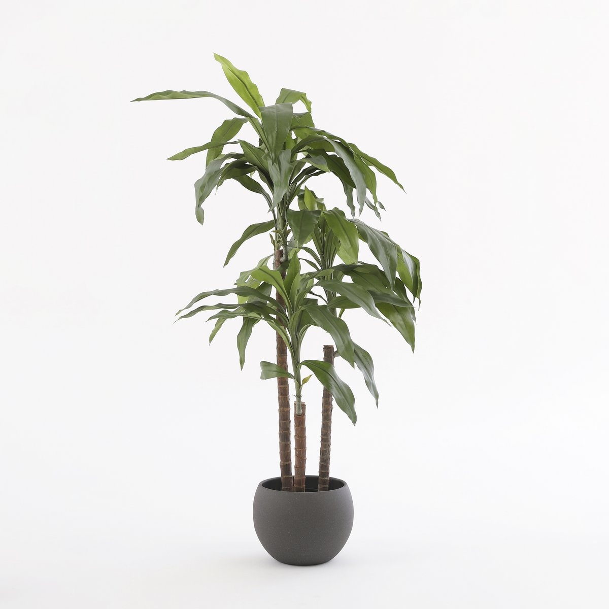 KantoormeubelenPlus Dracaena Kunstplant - H100 x Ø70 cm