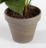 KantoormeubelenPlus Anthurium Kunstplant in Bloempot Stan - H40 x Ø30 cm - Lichtroze