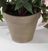 KantoormeubelenPlus Petunia Kunst Hangplant in Bloempot Stan - L25 x B45 x H50 cm - Roze
