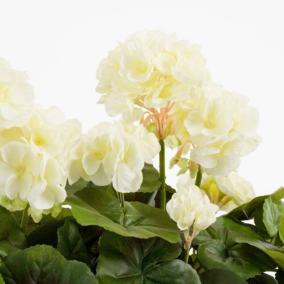 KantoormeubelenPlus Geranium Kunstplant in Balkonbak - L29 x B13 x H40 cm - Wit