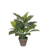 KantoormeubelenPlus Evergreen Kunstplant in Bloempot Stan - H49 x Ø40 cm - Groen