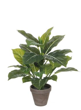 KantoormeubelenPlus Evergreen Kunstplant in Bloempot Stan - H49 x Ø40 cm - Groen