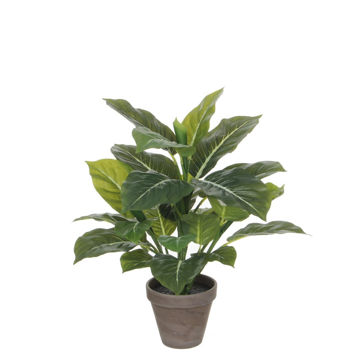 KantoormeubelenPlus Evergreen Kunstplant in Bloempot Stan - H49 x Ø40 cm - Groen