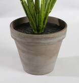 KantoormeubelenPlus Evergreen Kunstplant in Bloempot Stan - H49 x Ø40 cm - Groen