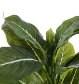 KantoormeubelenPlus Evergreen Kunstplant in Bloempot Stan - H49 x Ø40 cm - Groen