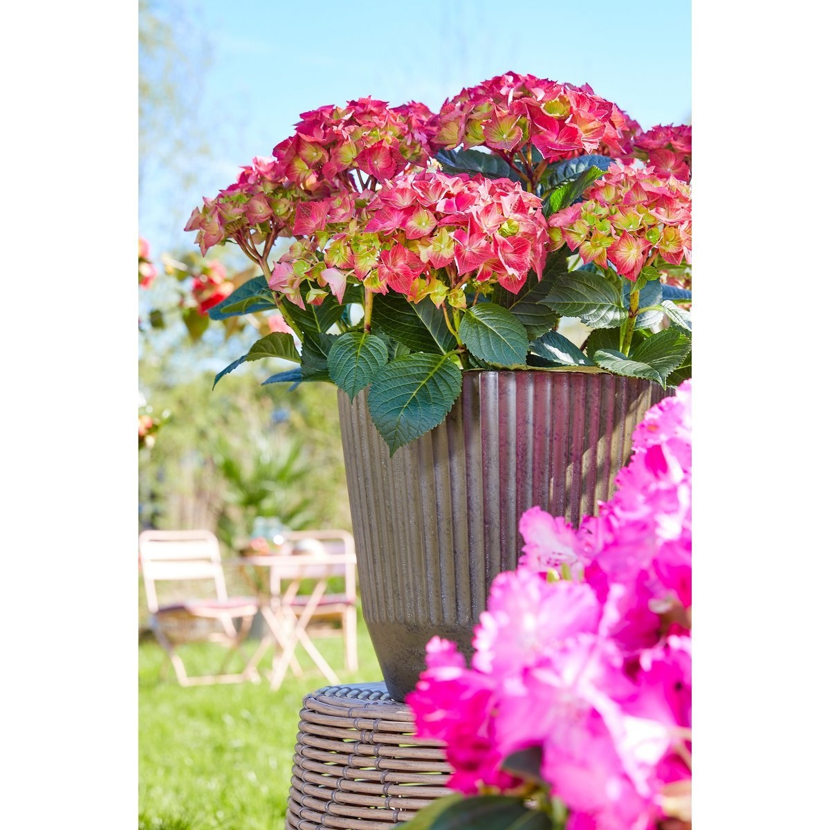 KantoormeubelenPlus Rio Bloempot voor Buiten - H40,5 x Ø45 cm - Donkergrijs
