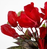 KantoormeubelenPlus Cyclaam Kunstplant in Bloempot Stan - H30 x Ø30 cm - Rood