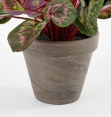 KantoormeubelenPlus Cyclaam Kunstplant in Bloempot Stan - H30 x Ø30 cm - Rood