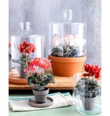 KantoormeubelenPlus Cyclaam Kunstplant in Bloempot Stan - H30 x Ø30 cm - Rood