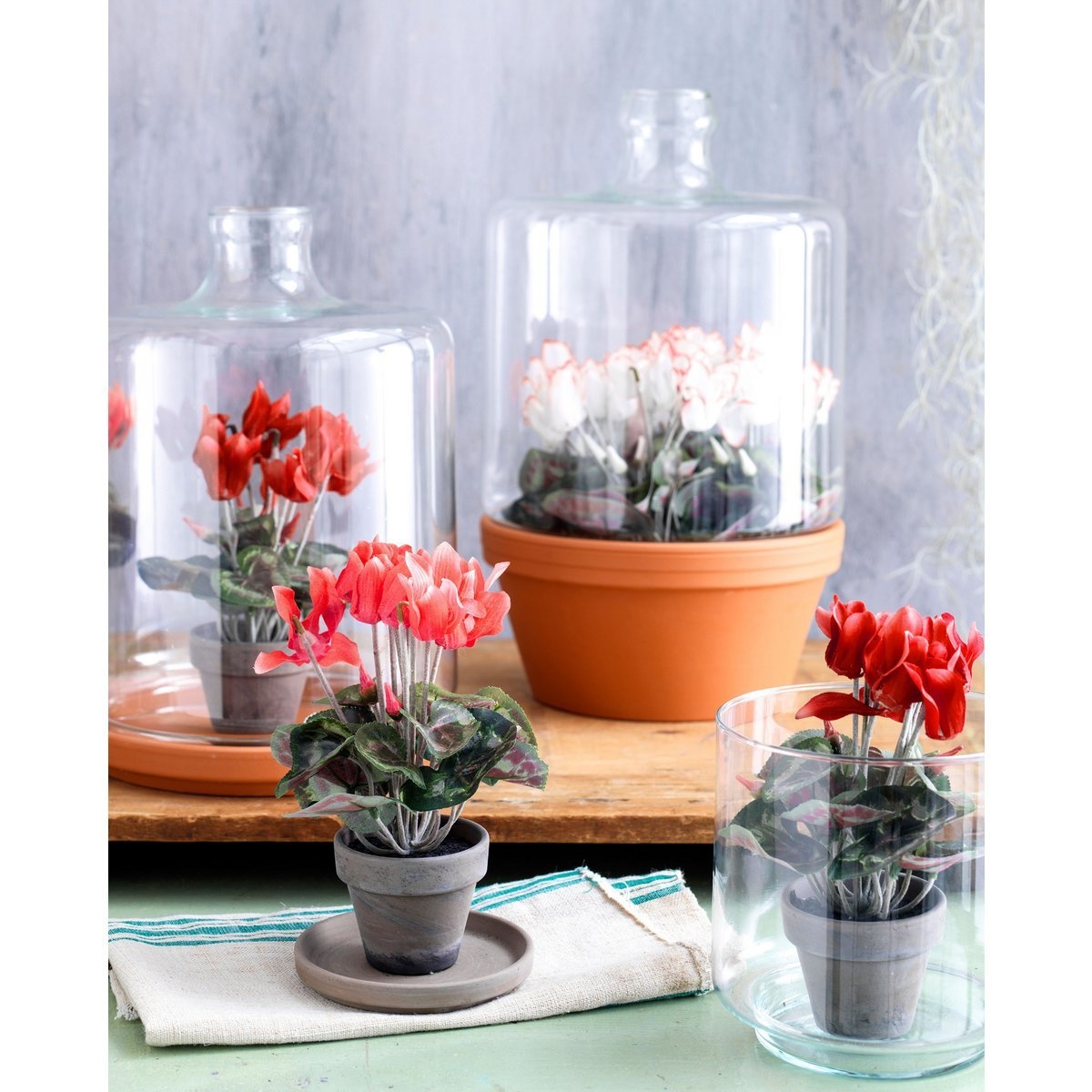 KantoormeubelenPlus Cyclaam Kunstplant in Bloempot Stan - H30 x Ø30 cm - Rood