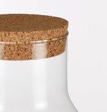 KantoormeubelenPlus Emily Terrarium of Voorraadpot - H24,5 x Ø22,5 cm - Gerecycled Glas - Transparant