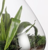 KantoormeubelenPlus Emily Terrarium of Voorraadpot - H24,5 x Ø22,5 cm - Gerecycled Glas - Transparant