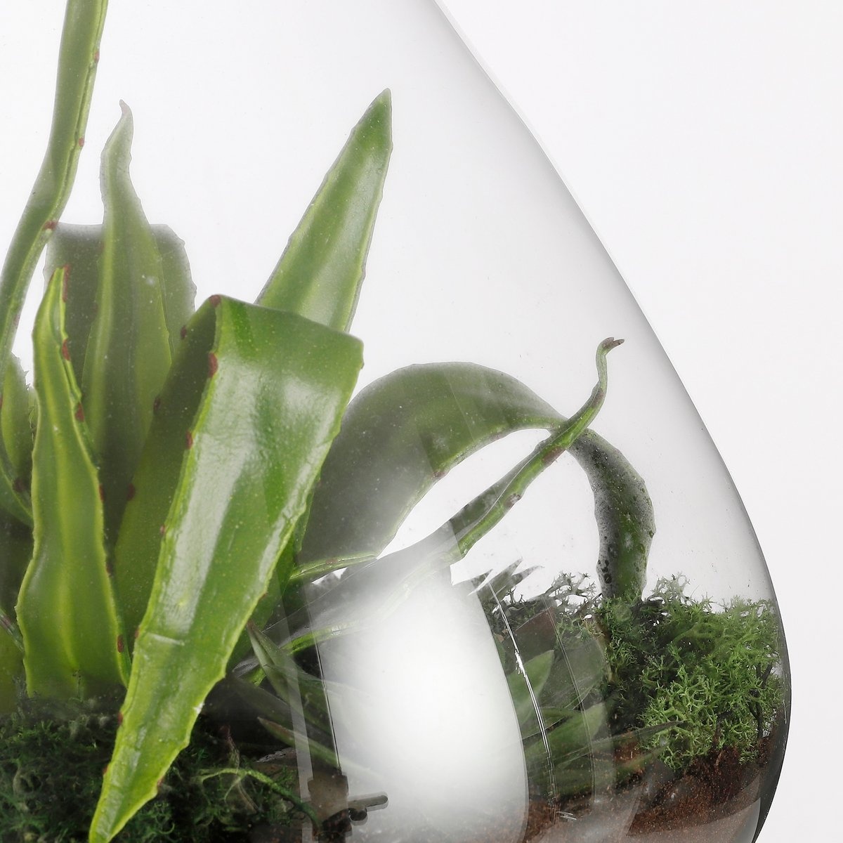 KantoormeubelenPlus Emily Terrarium of Voorraadpot - H24,5 x Ø22,5 cm - Gerecycled Glas - Transparant
