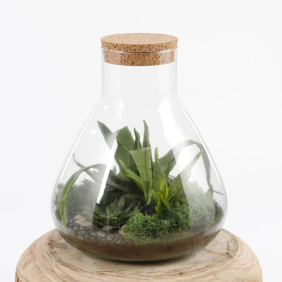 KantoormeubelenPlus Emily Terrarium of Voorraadpot - H24,5 x Ø22,5 cm - Gerecycled Glas - Transparant
