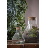 KantoormeubelenPlus Emily Terrarium of Voorraadpot - H24,5 x Ø22,5 cm - Gerecycled Glas - Transparant