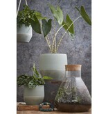 KantoormeubelenPlus Emily Terrarium of Voorraadpot - H24,5 x Ø22,5 cm - Gerecycled Glas - Transparant