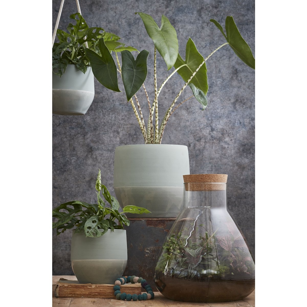 KantoormeubelenPlus Emily Terrarium of Voorraadpot - H24,5 x Ø22,5 cm - Gerecycled Glas - Transparant