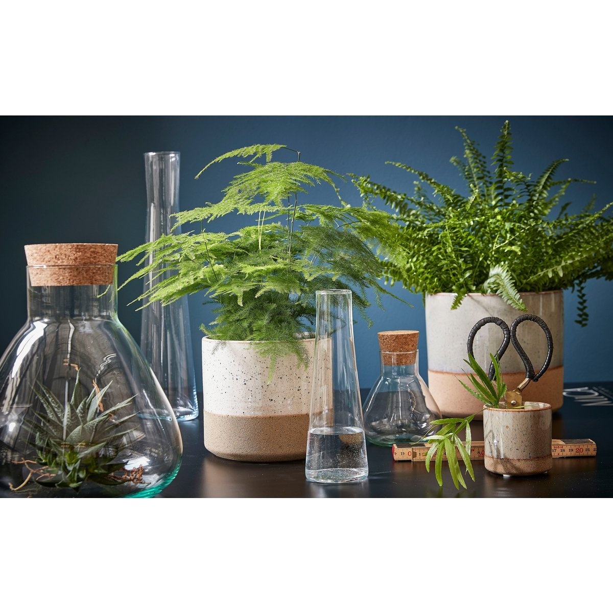 KantoormeubelenPlus Emily Terrarium of Voorraadpot - H24,5 x Ø22,5 cm - Gerecycled Glas - Transparant