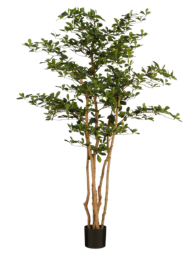 KantoormeubelenPlus Kunstplant Olijfboom in Pot - H183 x Ø130 cm - Groen
