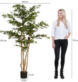 KantoormeubelenPlus Kunstplant Olijfboom in Pot - H183 x Ø130 cm - Groen