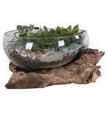 KantoormeubelenPlus San Marino Waterdruppel