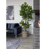 KantoormeubelenPlus Fiddle Leaf Tree