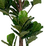 KantoormeubelenPlus Fiddle Leaf Tree