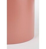 KantoormeubelenPlus Ruben Plantentafel - H70 x Ø20 cm - Metaal - Oud Roze