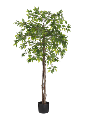 KantoormeubelenPlus Ficus Kunstplant in Bloempot - H150 x Ø50 cm - Groen 