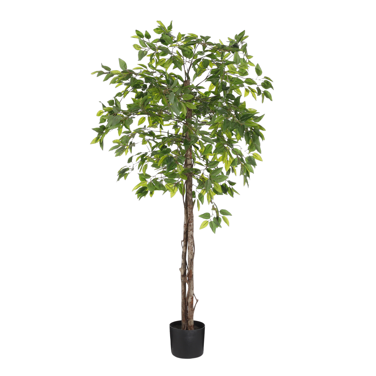 KantoormeubelenPlus Ficus Kunstplant in Bloempot - H150 x Ø50 cm - Groen 