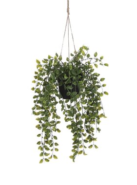 KantoormeubelenPlus Ficus Kunst Hangplant in Pot - H46 x Ø20 cm - Groen