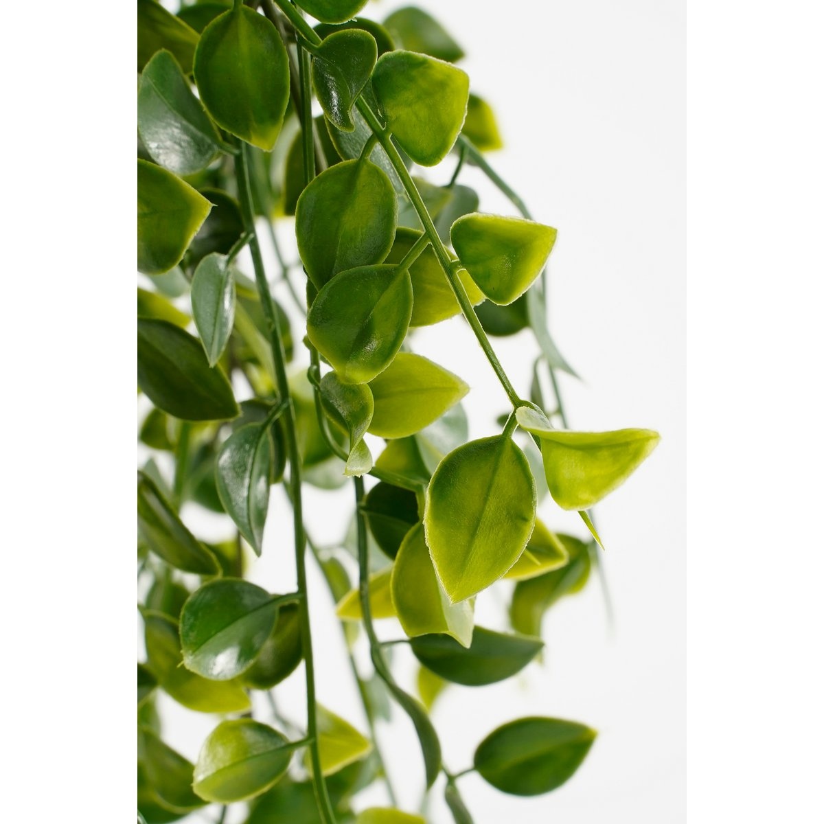 KantoormeubelenPlus Ficus Kunst Hangplant in Pot - H46 x Ø20 cm - Groen