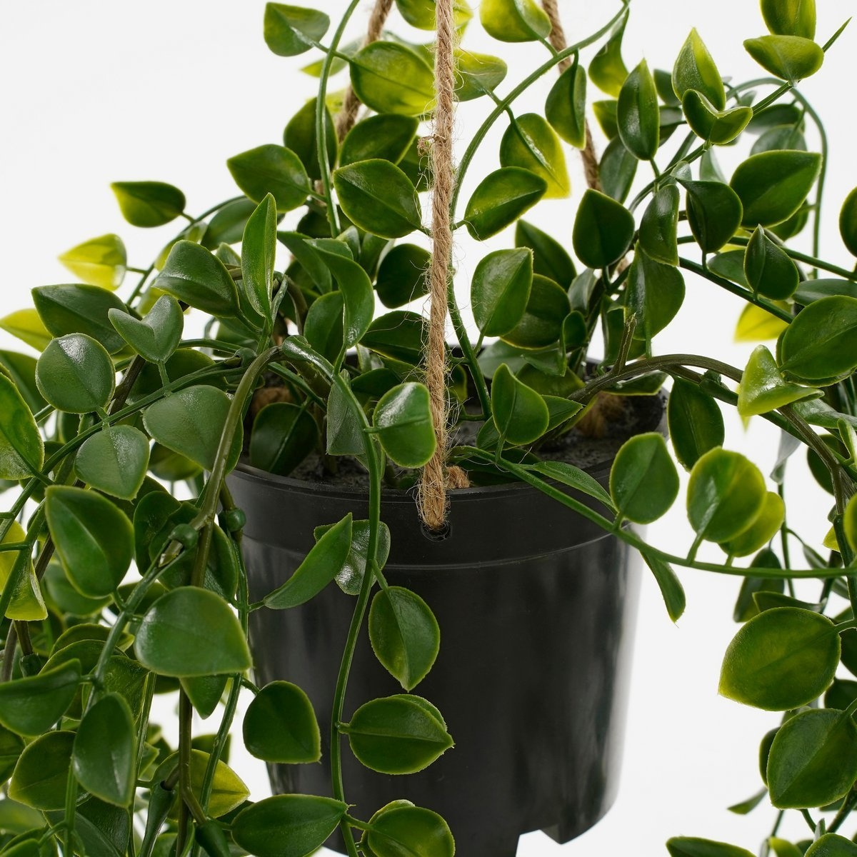 KantoormeubelenPlus Ficus Kunst Hangplant in Pot - H46 x Ø20 cm - Groen