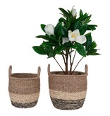 KantoormeubelenPlus Lima Basket - Mand in zeegras, natuur/bruin/zwart, set van 2