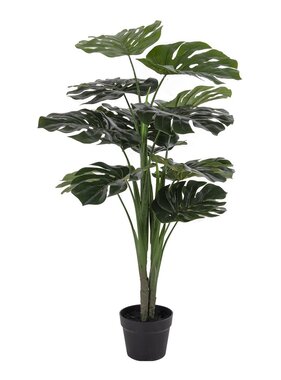 KantoormeubelenPlus Monstera