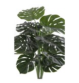 KantoormeubelenPlus Monstera