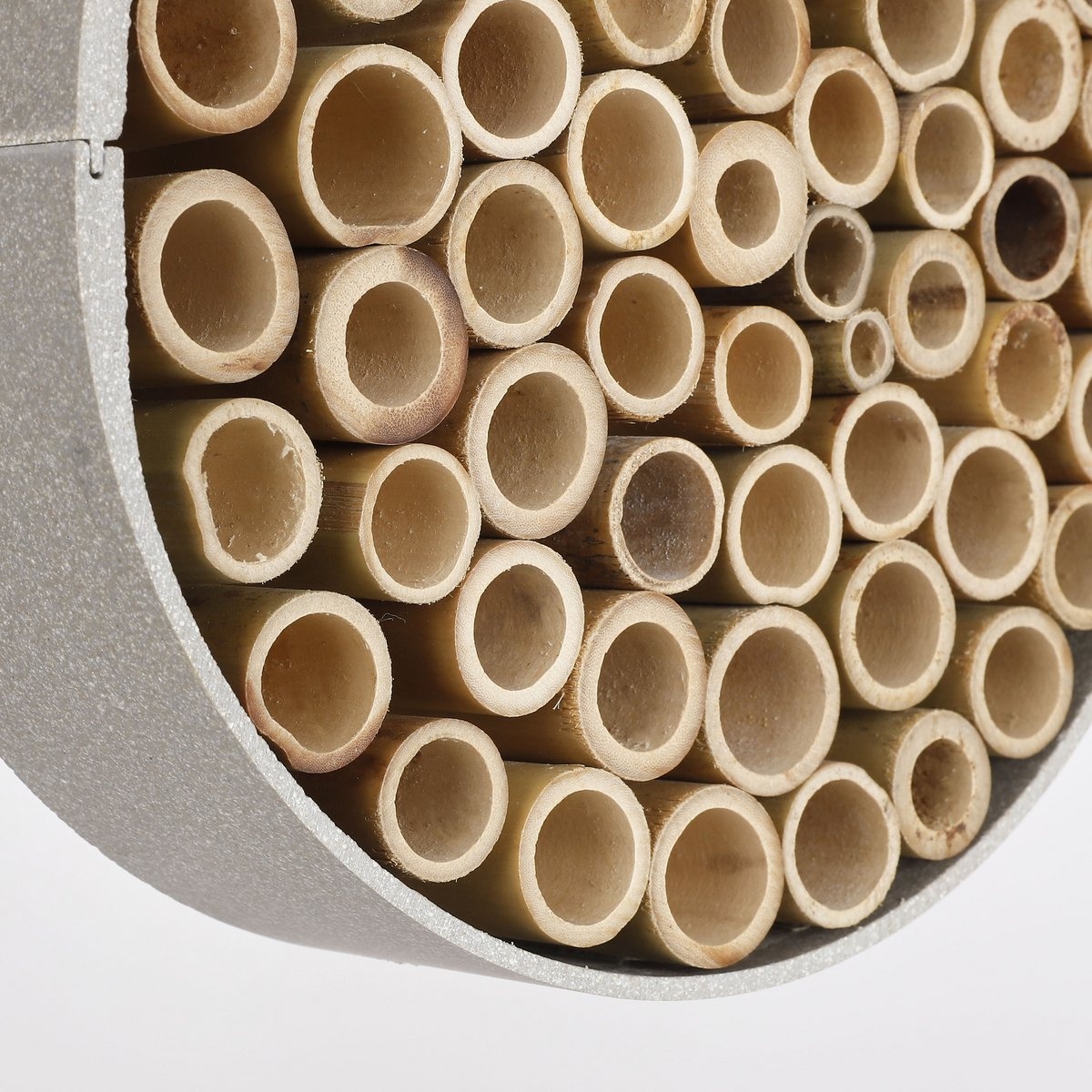 VidaXL Orion Insectenhotel - H6 x Ø21 cm - Grijs