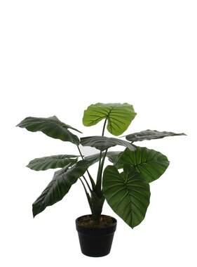 KantoormeubelenPlus Taro Kunstplant - H60 x Ø60 cm - Groen