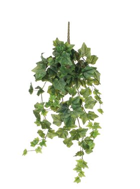 KantoormeubelenPlus Hedera Kunst Hangplant - H71 cm - Groen