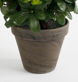 KantoormeubelenPlus Azalea Kunstplant in Bloempot Stan - H31 x Ø26 cm - Wit