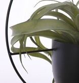 KantoormeubelenPlus Dexter bloempot Hangend - L34 x B14 x H65 cm - Zwart