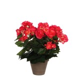 KantoormeubelenPlus Begonia Kunstplant in Bloempot Stan - H30 x Ø25 cm - Donkerroze