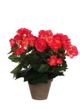 KantoormeubelenPlus Begonia Kunstplant in Bloempot Stan - H30 x Ø25 cm - Donkerroze